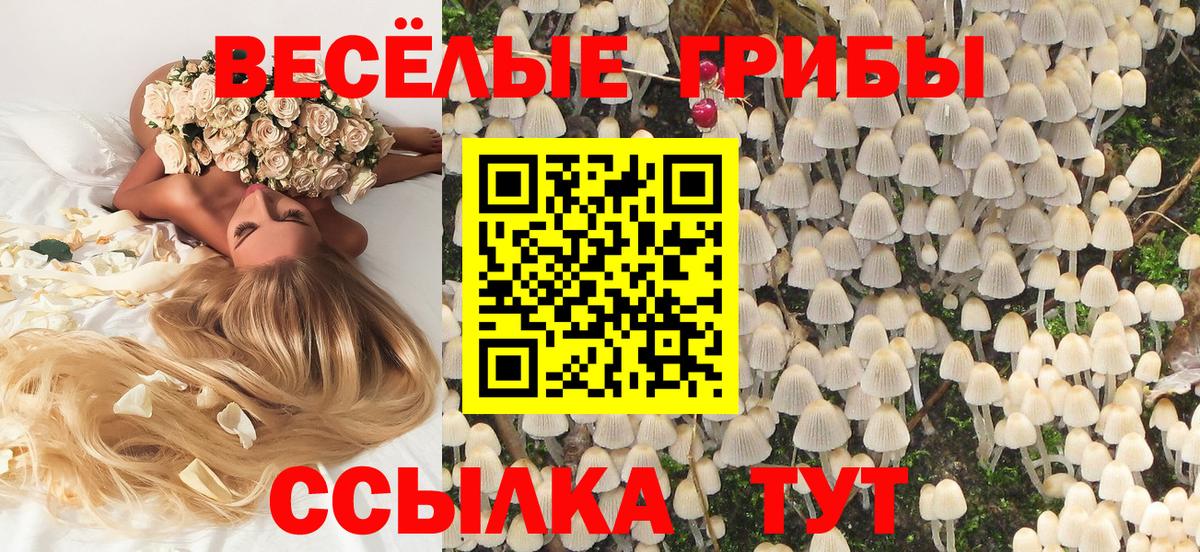 Галлюциногенные грибы Psilocybe  Вход с VPN  Псилоцибиновые грибы мицелий  Стрежевой 